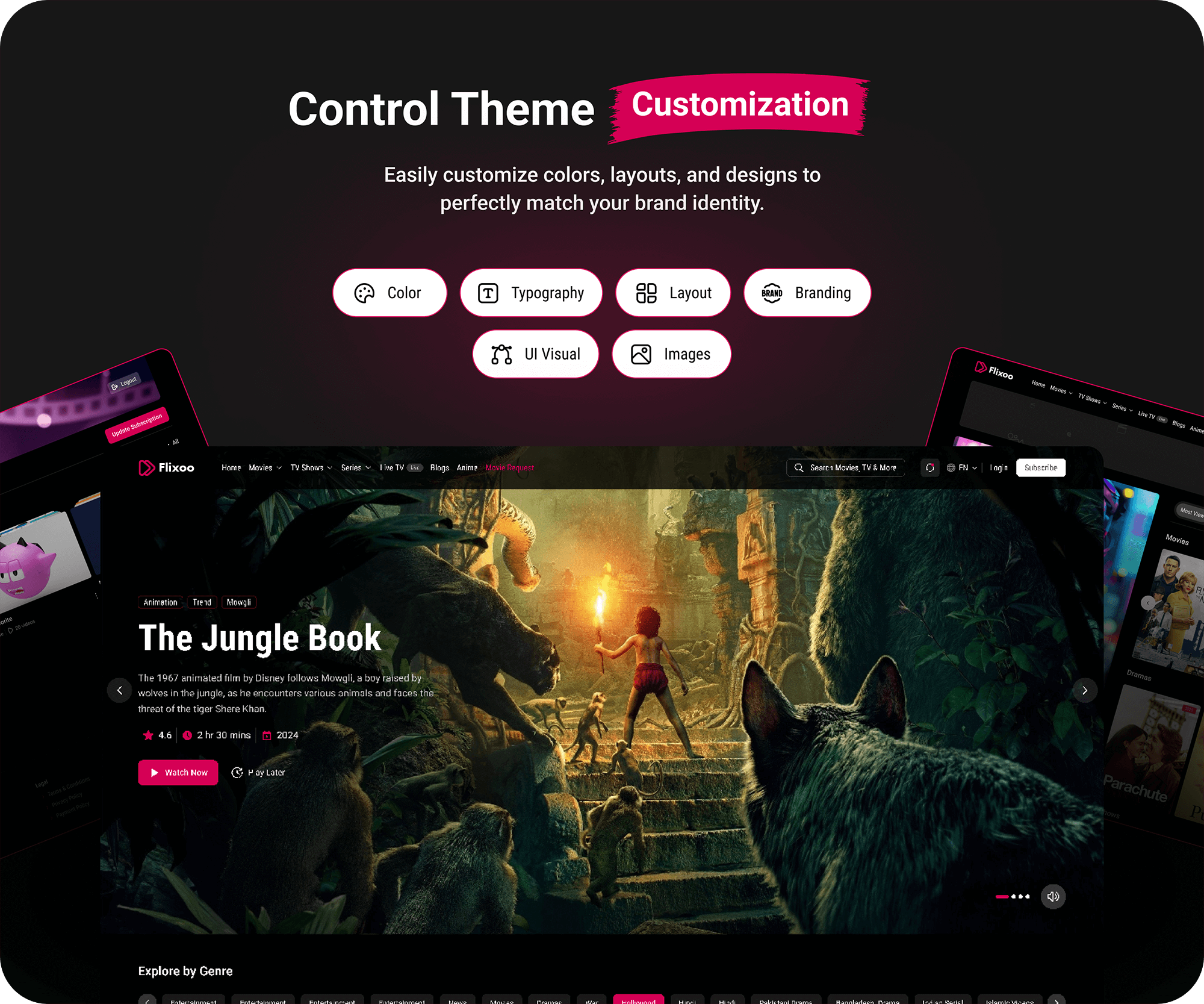 Flixoo Customizable Themes